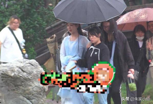 吃瓜娱乐间刘诗诗,瓜田里的优雅女神